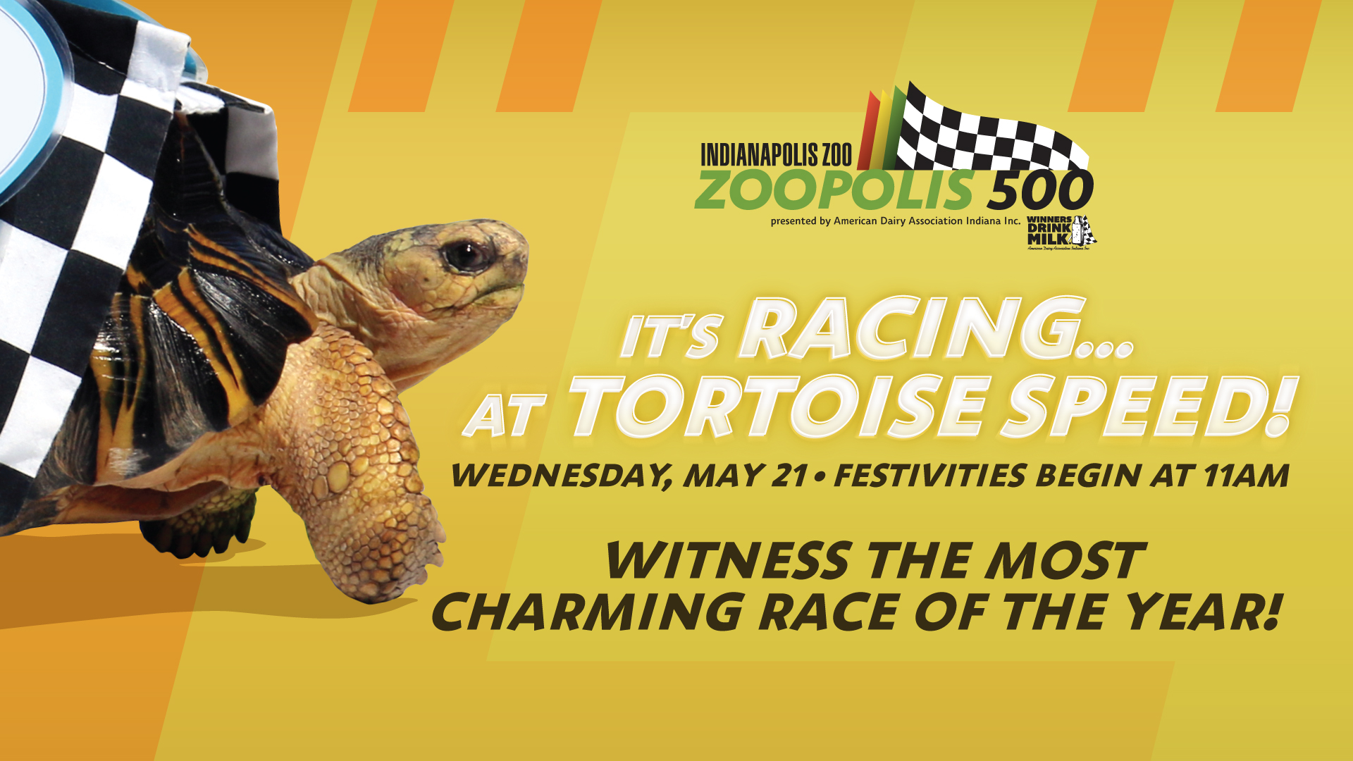 Zoopolis 500 at Indianapolis Zoo on May 21 at 11am